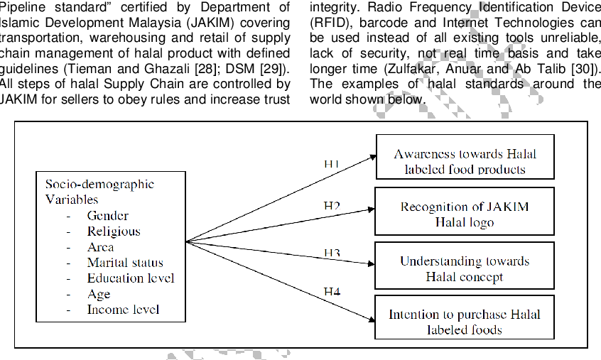 Conceptual Framework Of Non-muslim Consumers Awareness, - Conceptual Framework For Level Of Awareness (846x507), Png Download