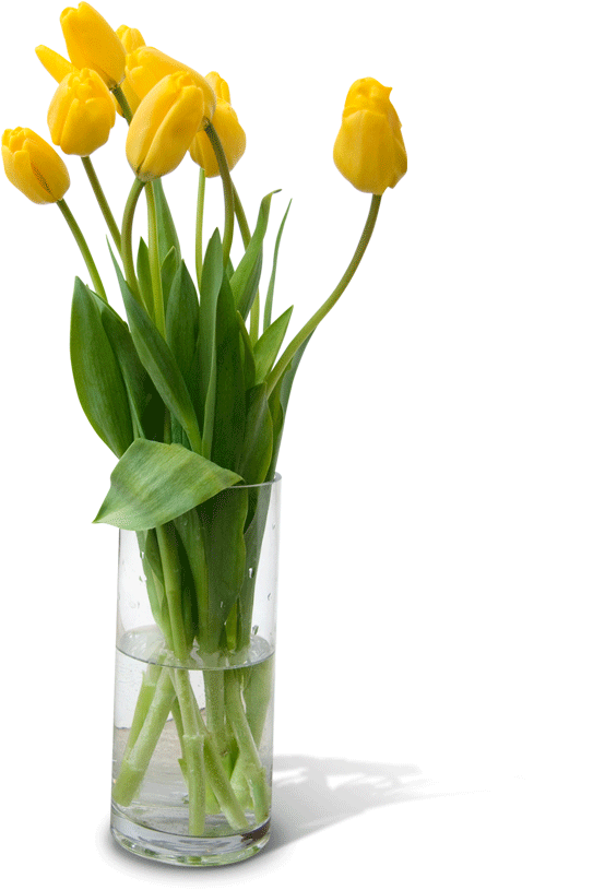 Download Flower Vase Png Free Download - Flower Pot Design Png PNG Image  with No Background 