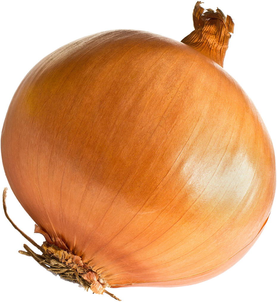 Download Onion - Onion Png PNG Image with No Background - PNGkey.com