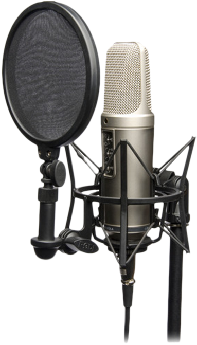 Recording Studio Mic Png - Rode Nt 2a Microphone - Free Transparent PNG