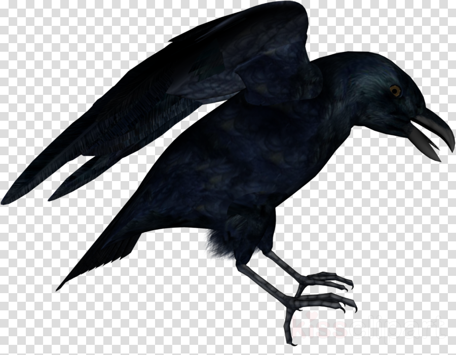 American Crow Clipart American Crow New Caledonian - Red White Circle ...