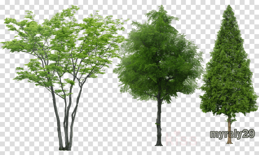 Download Arboles Photoshop Sin Fondo Clipart Tree Low Poly Tree Vray Png Image With No Background Pngkey Com
