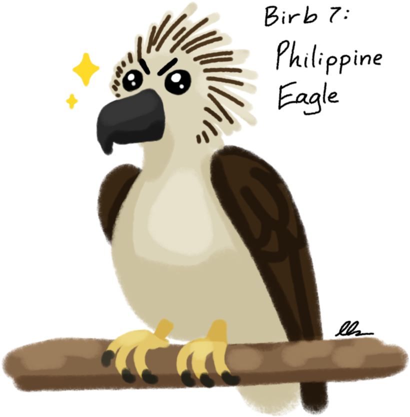 download graphic black and white decembirb philippine eagle cockatoo png image with no background pngkey com download graphic black and white