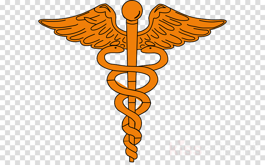 hermes caduceus