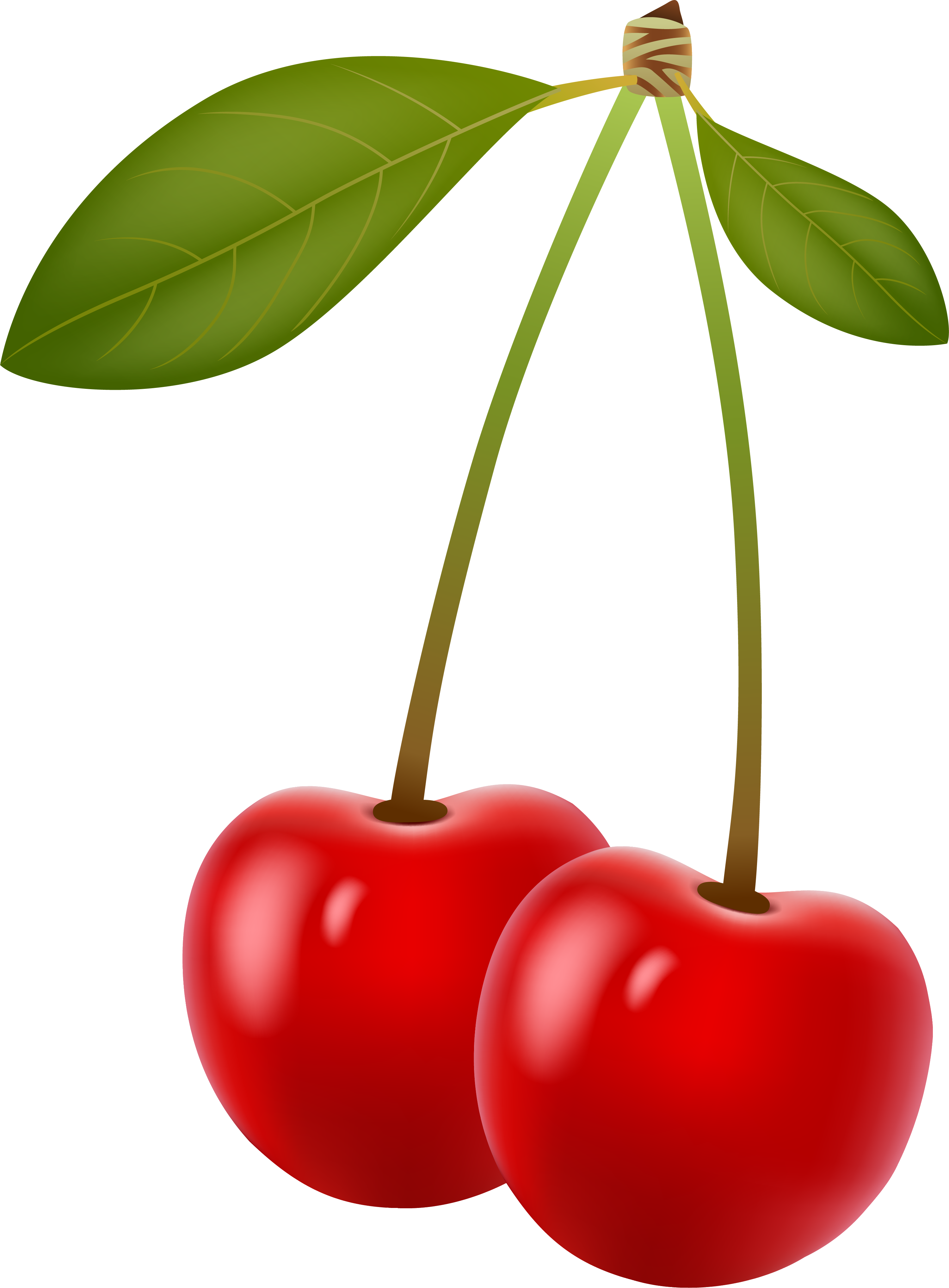 Graphic Download Berry Clip Art Red Fresh Sweet Transprent - Cerezas Dibujo Png (3001x4071), Png Download