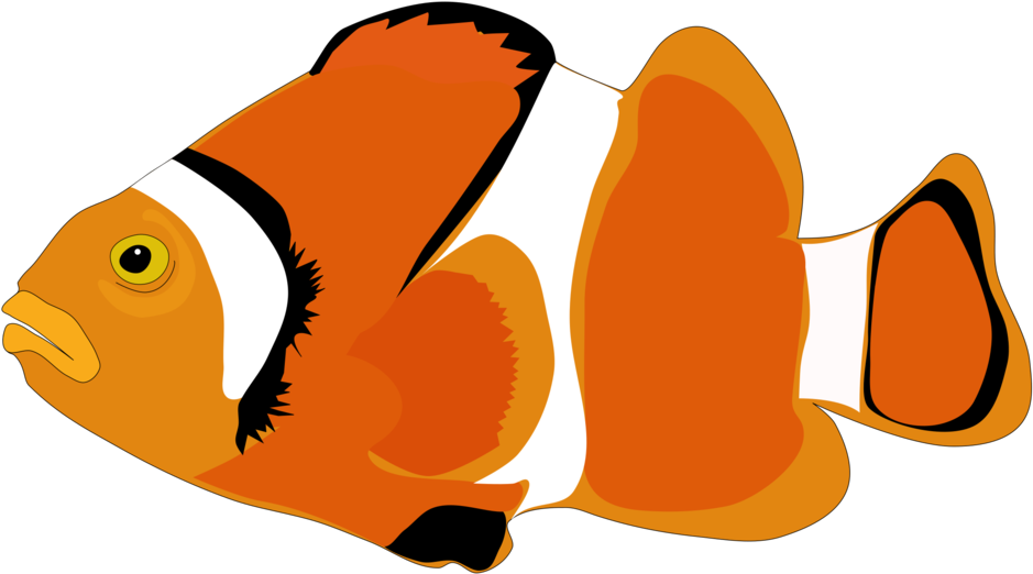 Download Clownfish Cartoon Computer Icons Cartoon Fish Png Png Image With No Background Pngkey Com