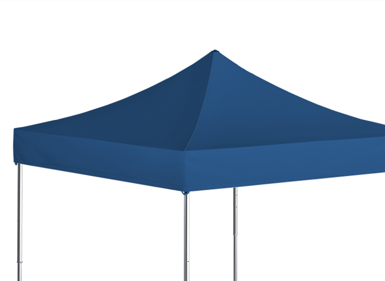 Download Canopy PNG Image with No Background - PNGkey.com