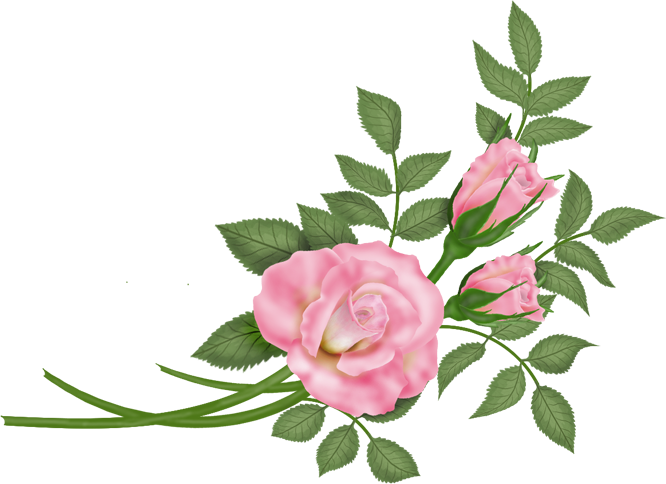 Download Flowers - Vector Rosa - Rose PNG Image with No Background ...