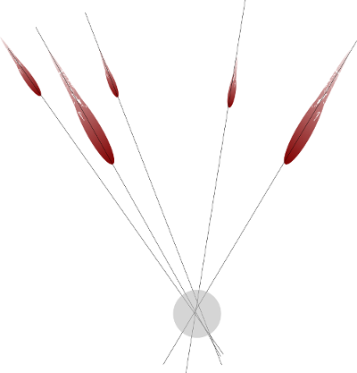 Image Of Intersecting Of Blood Spatter Impact Angles - Arrow - Free ...