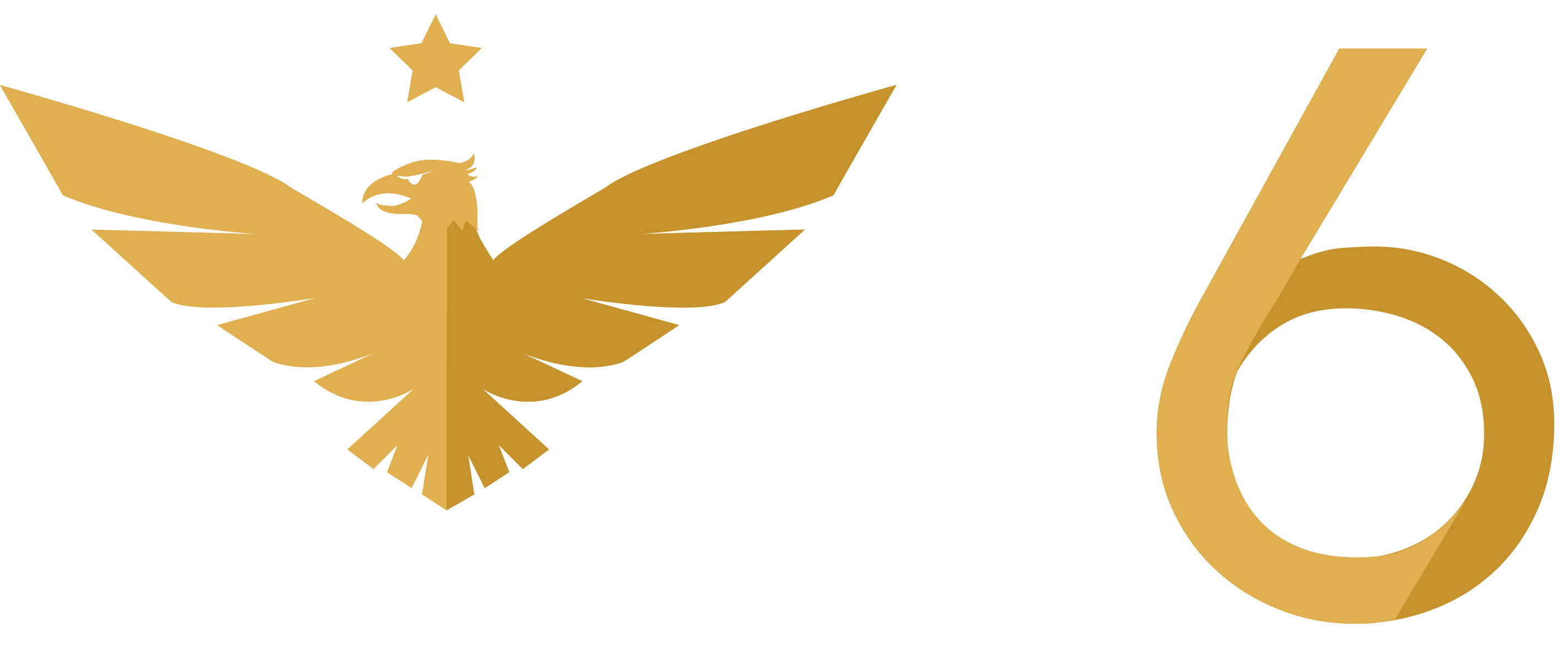 Download Logo Transparant Logo Partai Garuda Png Png Image With No Background