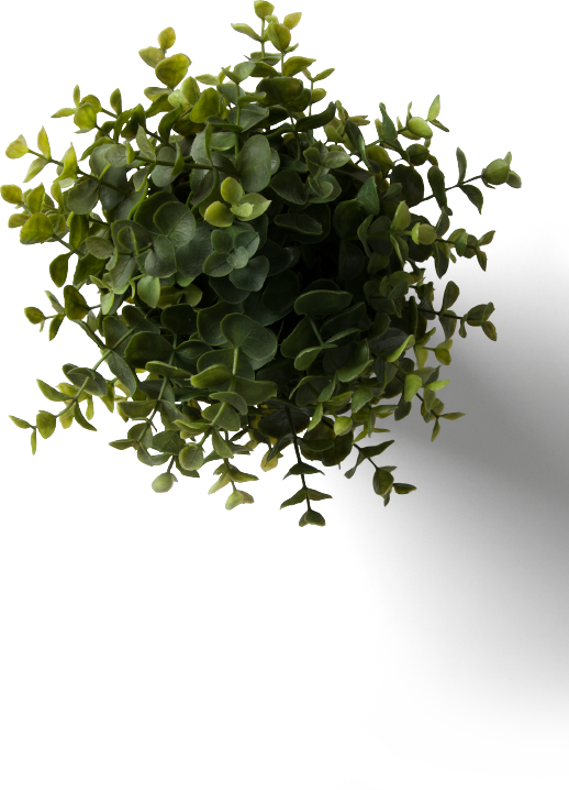 Flower Plant Top View Png With Flower Plant Top View - Table Plant Top