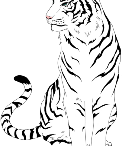 Tiger drawing standing sideways. 23782753 Vector Art at Vecteezy