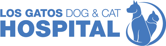 Download Logo Dog & Cat PNG Image with No Background - PNGkey.com