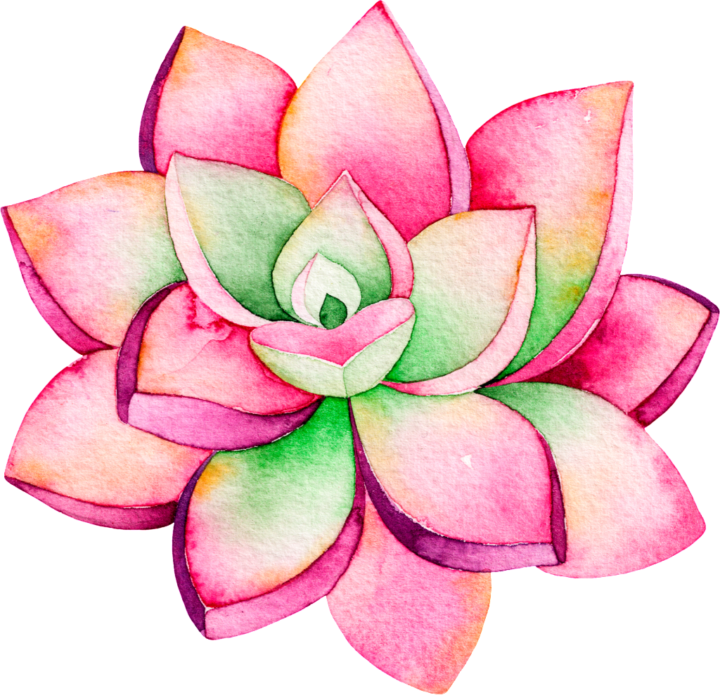 Download This Backgrounds Is Pink Fashion Lotus Cartoon Transparent