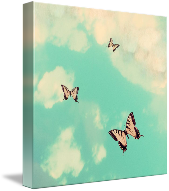 Mkc Photography Butterfly Sky Canvas - Papilio Machaon (576x650), Png Download