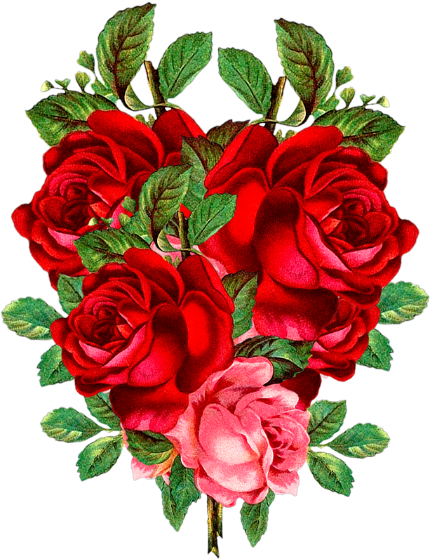 Red Flowers Png Clipart | Best Flower Site