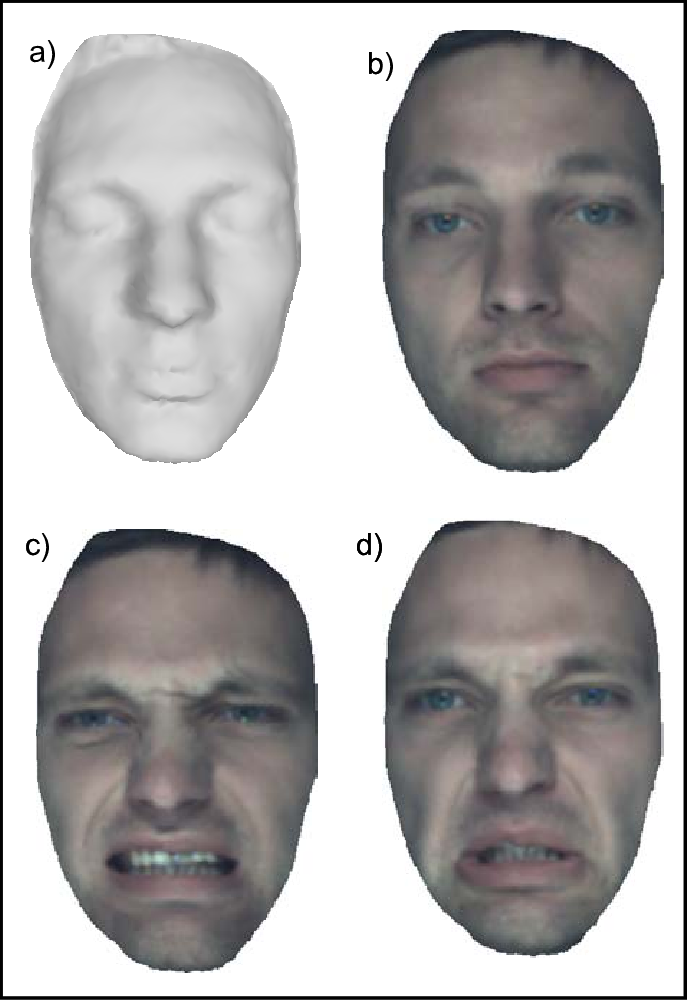 Download Face Normalization Examples For Different Expressions ...