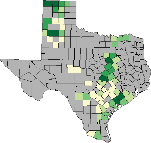 Download Harvesting Corn - Wheat Grown In Texas Png Image With No 