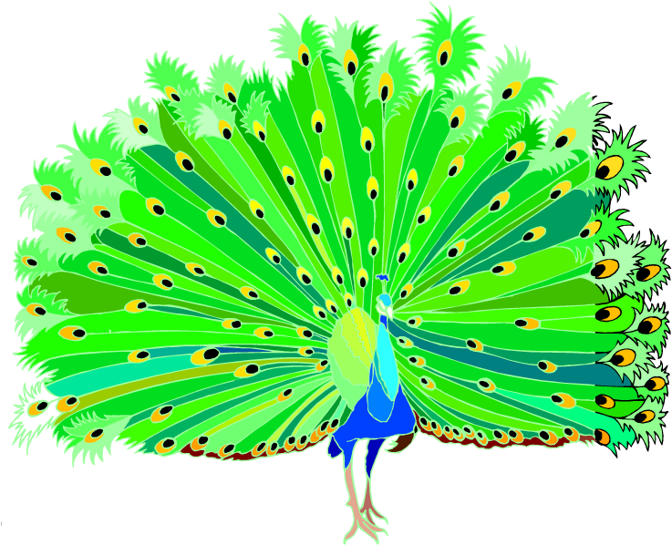 Peacock Clipart - Peacock Clipart Png Hd - Free Transparent Png 