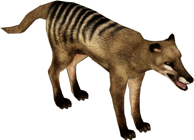 Download Thylacine Png Image With No Background - Pngkey.com