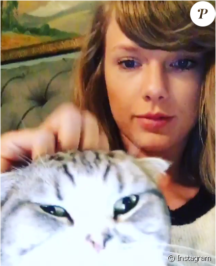 meredith and taylor swift