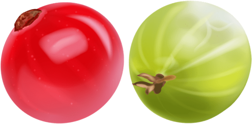 Download Free Png Images Gooseberry Png Image With No Background Pngkey Com