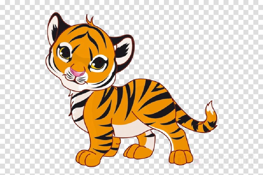 Baby Tiger Cartoon Clipart Tiger Stock Photography 