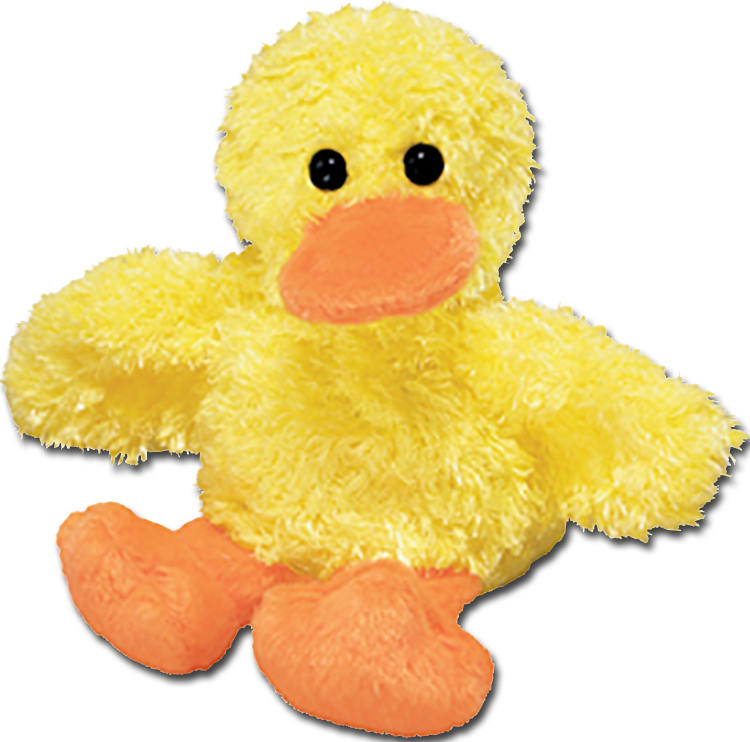 stuffed toy duck that quacks