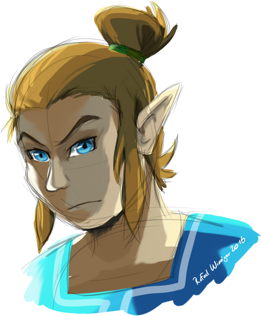 Download Man Bun Link By Comic - Link Man Bun Zelda PNG Image with No ...