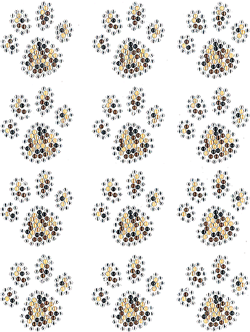 Download Leopard Print Paws Sheet Pattern Png Image With No Background Pngkey Com