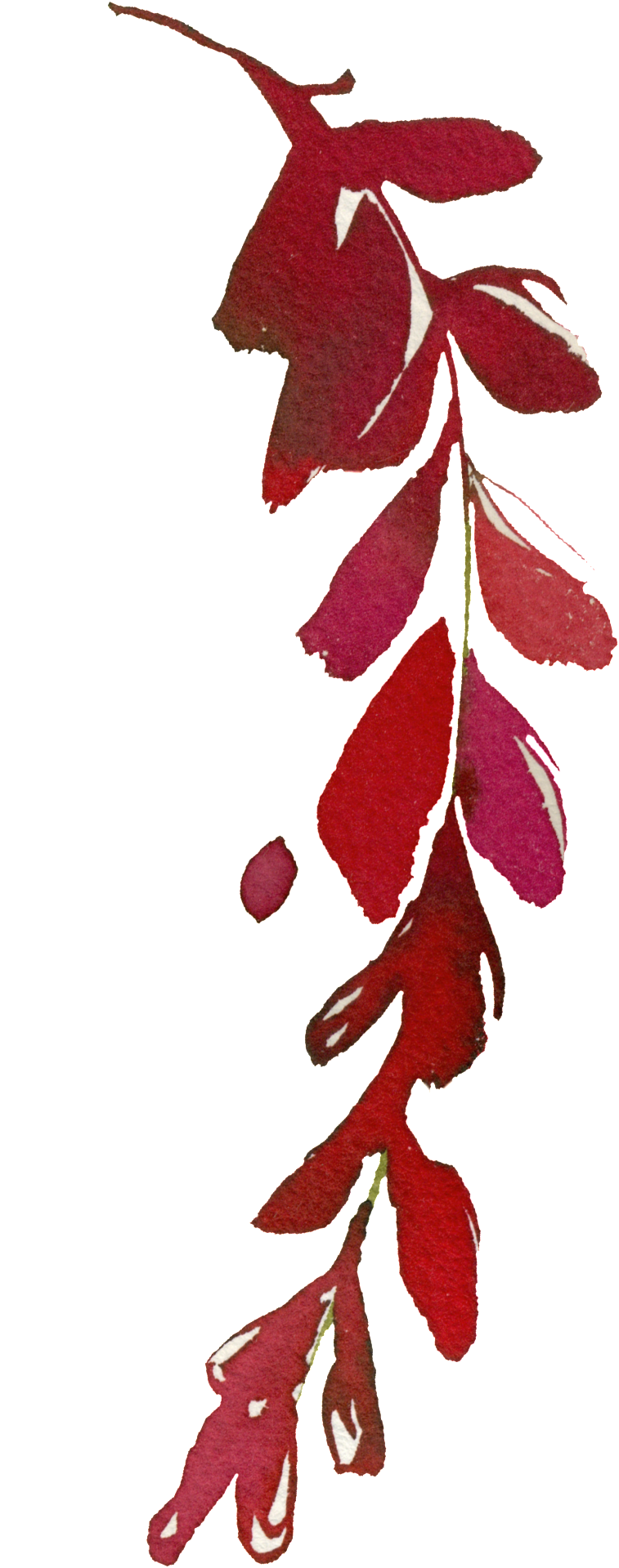 Download Este Graficos E Hand Painted Bright Red Leaves Png Red Png Image With No Background Pngkey Com