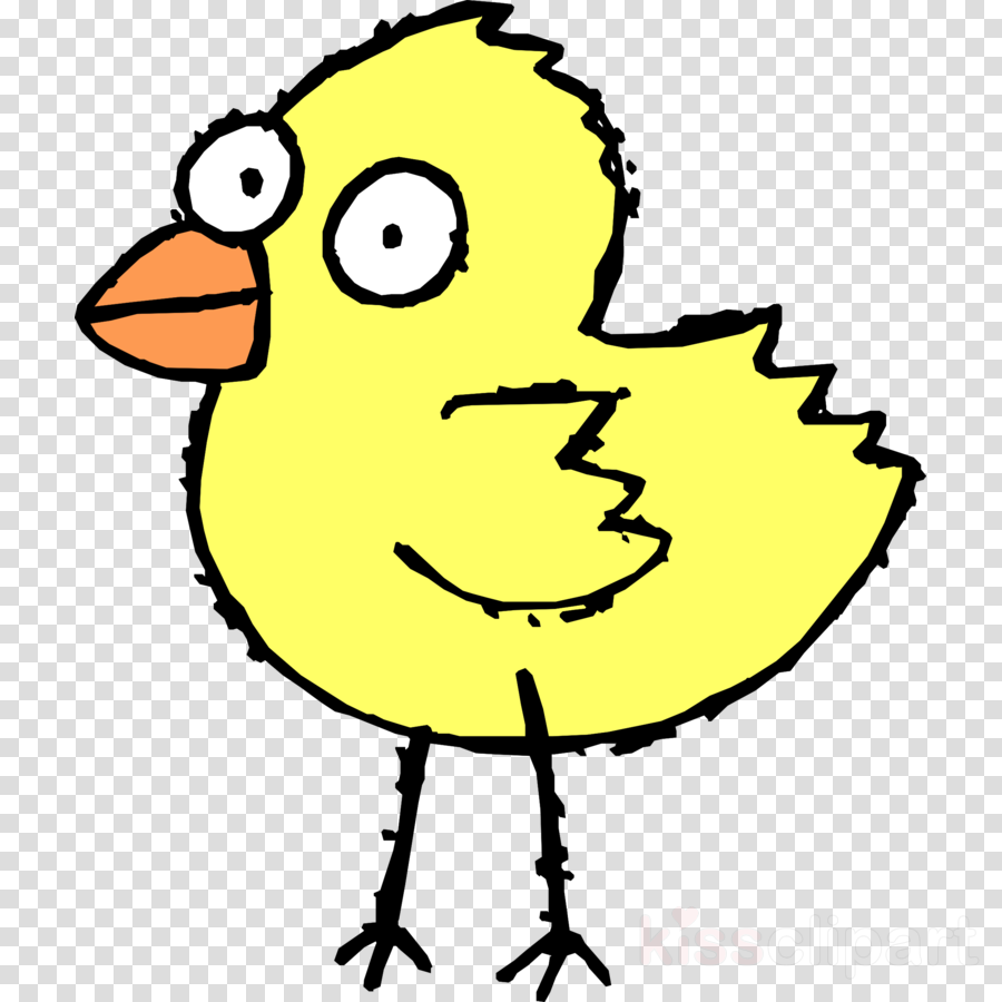 Black And White Cartoon Bird (900x900), Png Download