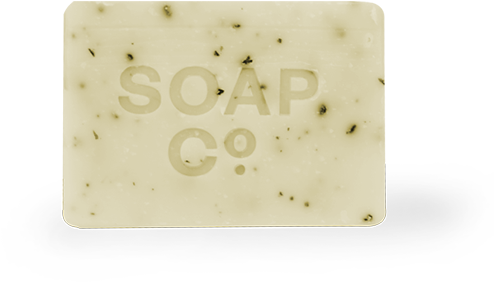 Soap Bar Wild Nettle & Sage - Earrings (569x563), Png Download