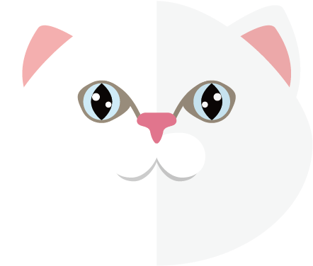 Download Whiskers Clipart Heart - Cat PNG Image with No Background ...