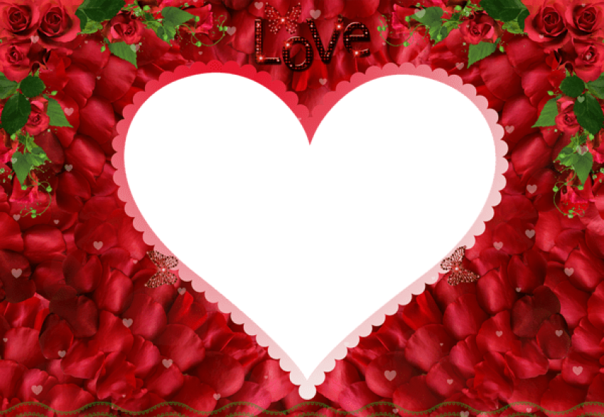 Download Free Png Love Rose Redphoto Frame Png Images Transparent - Love  Rose Image Png PNG Image with No Background 