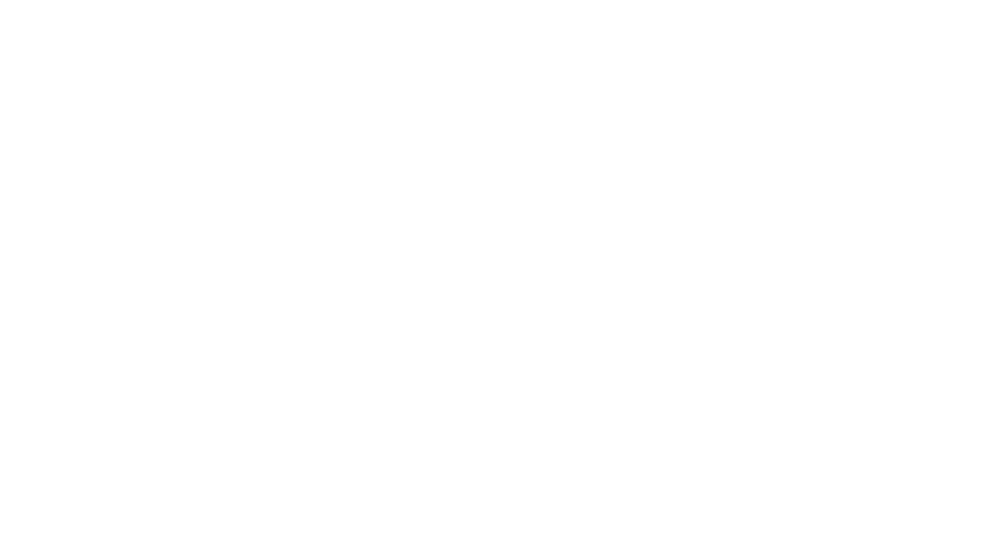 BFX Distribuidora