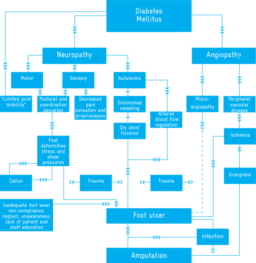 Download 1 Pathogenesis Of Diabetic Foot Ulcer PNG Image with No ...