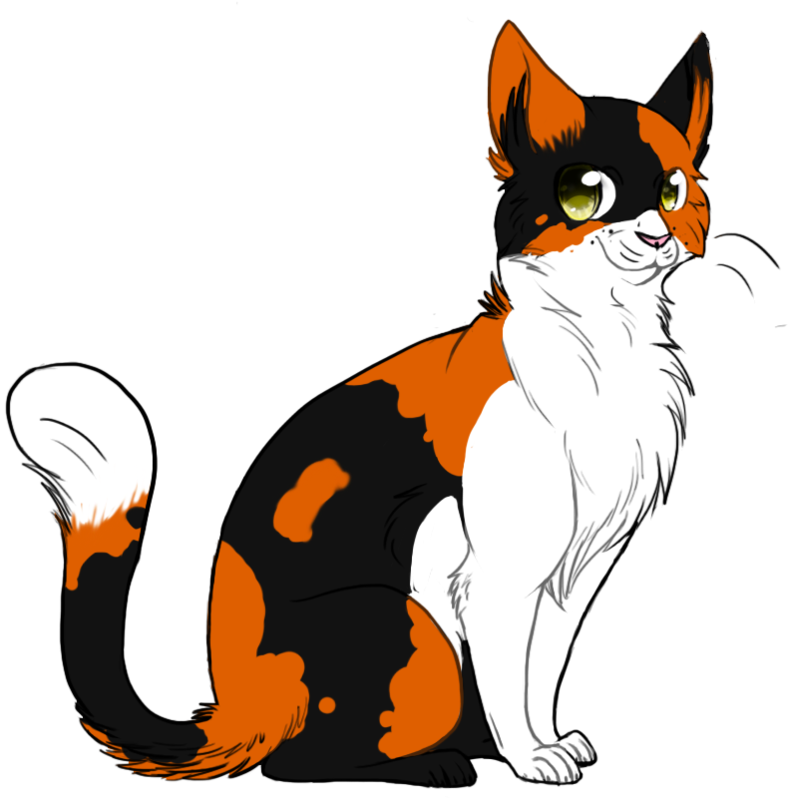 Download Dapplefrost Tortoiseshell Cat Clipart Png Image With No Background