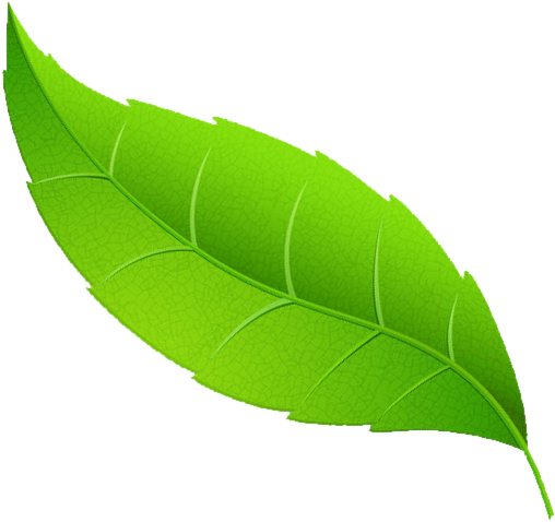 Request A Demo - Mint Leaf Transparent Png - Free Transparent PNG ...