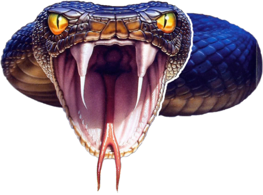 snake png