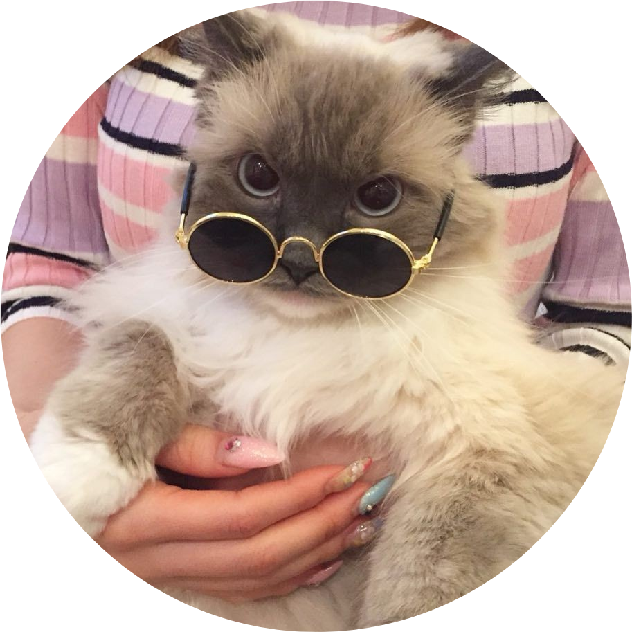 Tumblr Aesthetic Cat Kitty Fluffy Cataesthetic Cats (913x913), Png Download