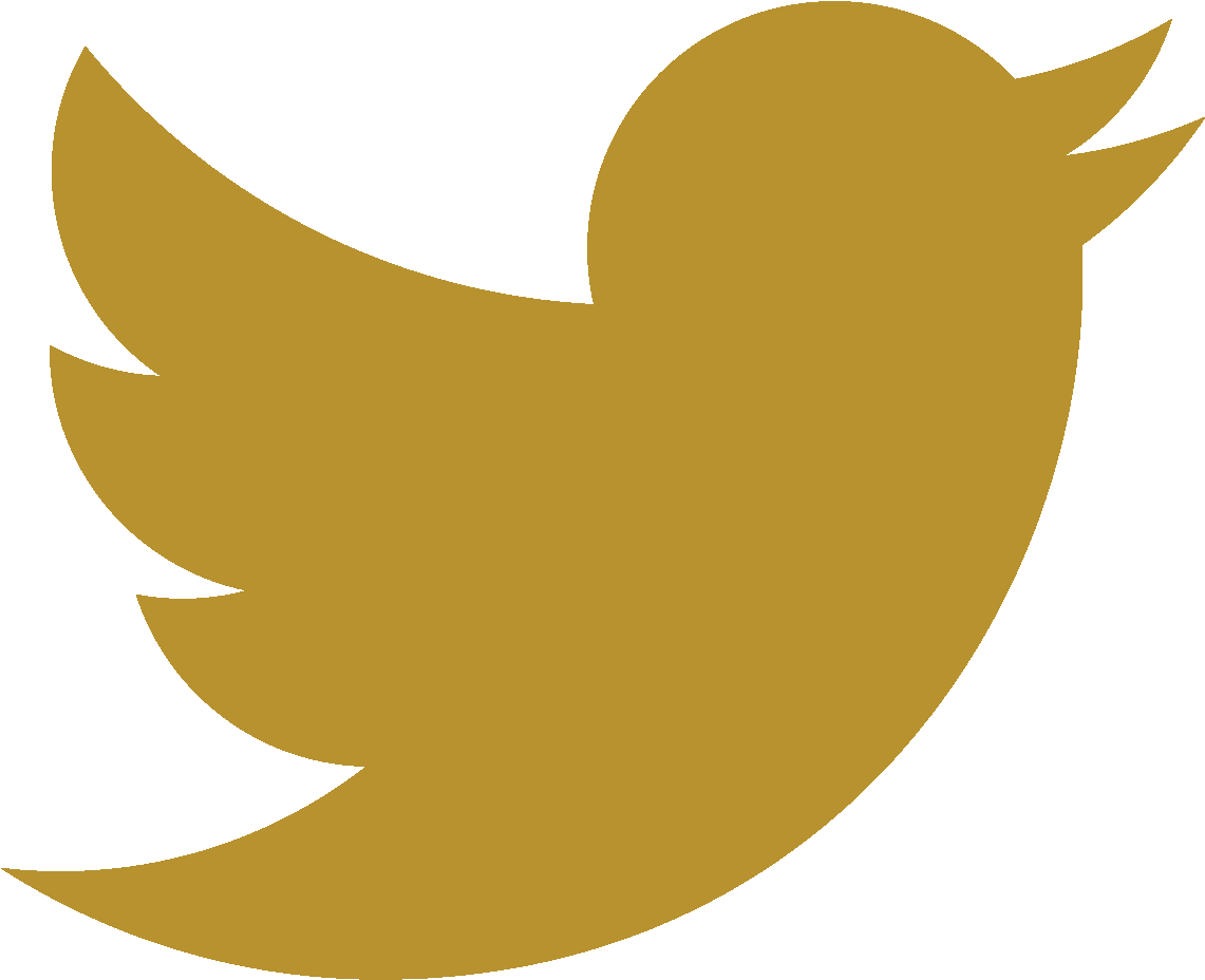 Golden Twitter Logo Png - Free Transparent PNG Download - PNGkey