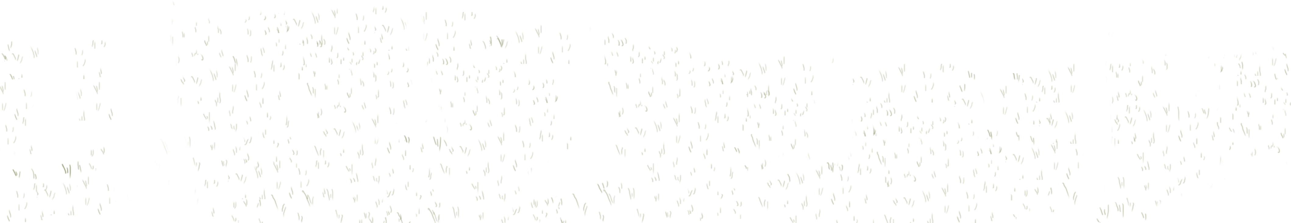 Download 1- Grass Overlay PNG Image with No Background - PNGkey.com