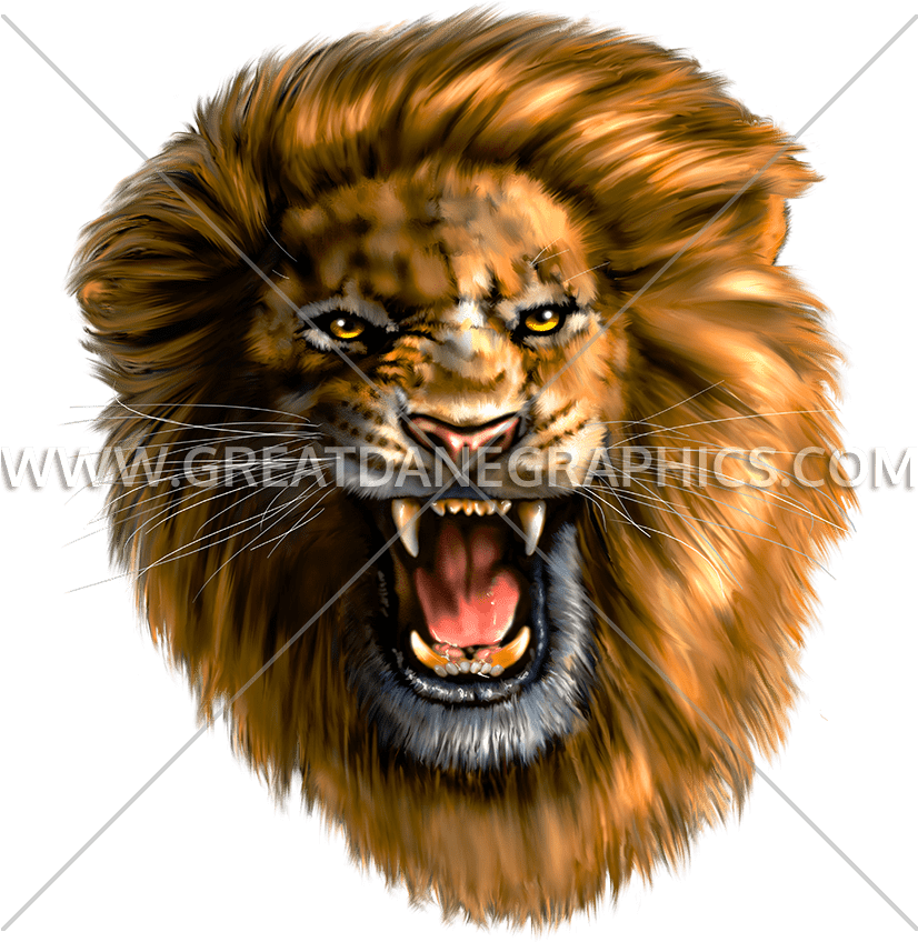 Download Roaring Lion Roaring Lion Head Cdr Png Image With No Background 