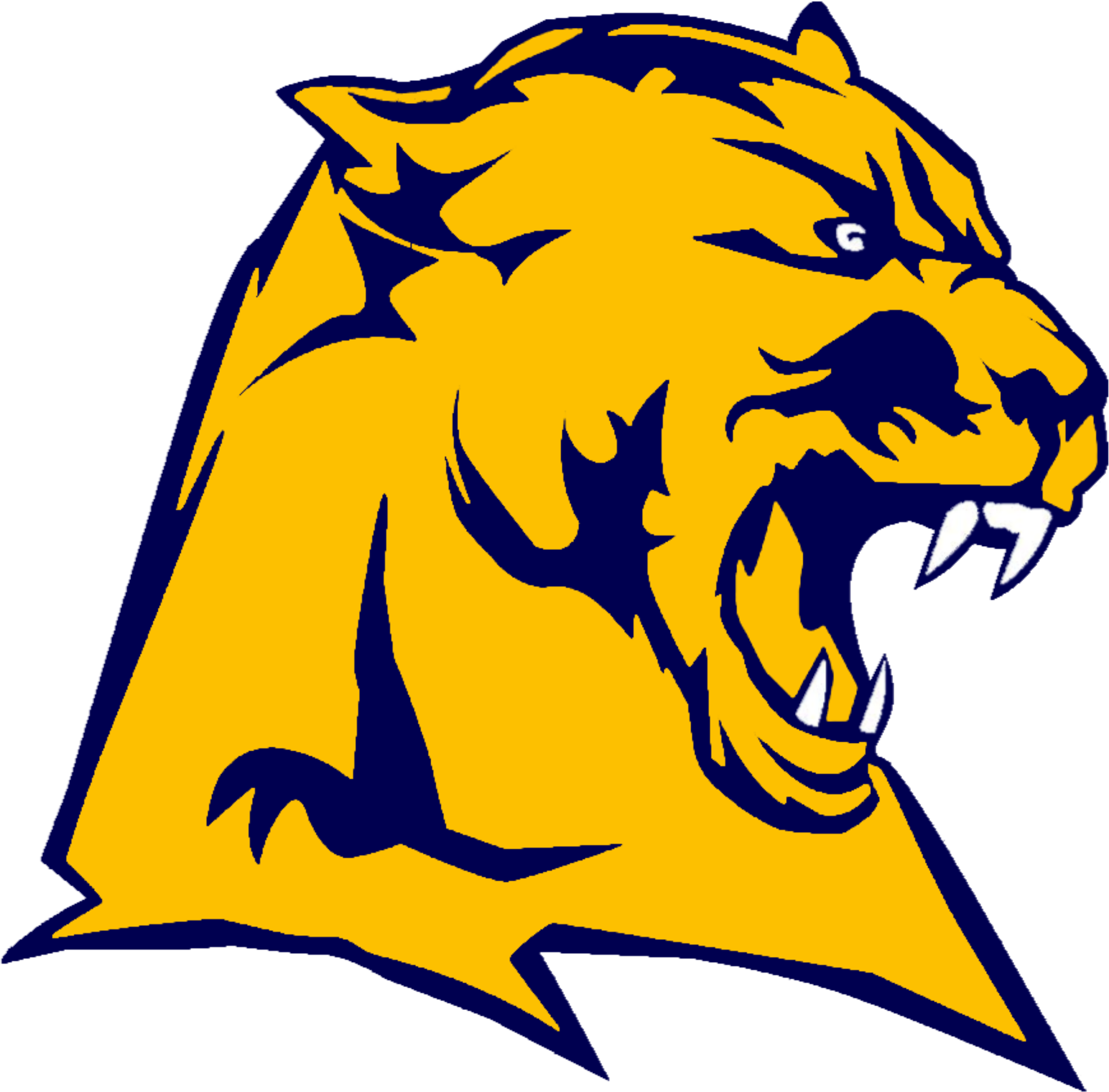 Download Open - Whitmer High School Logo PNG Image with No Background ...