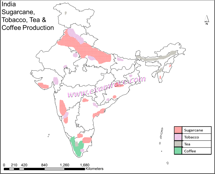 Download India Sugarcane Tobacco, Tea And Coffee Production PNG Image ...