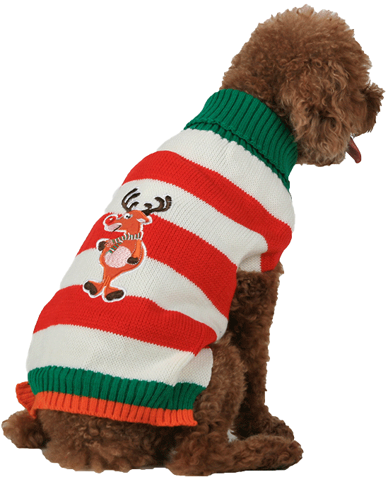 Download Christmas Sweater Pattern Png PNG Image with No Background ...