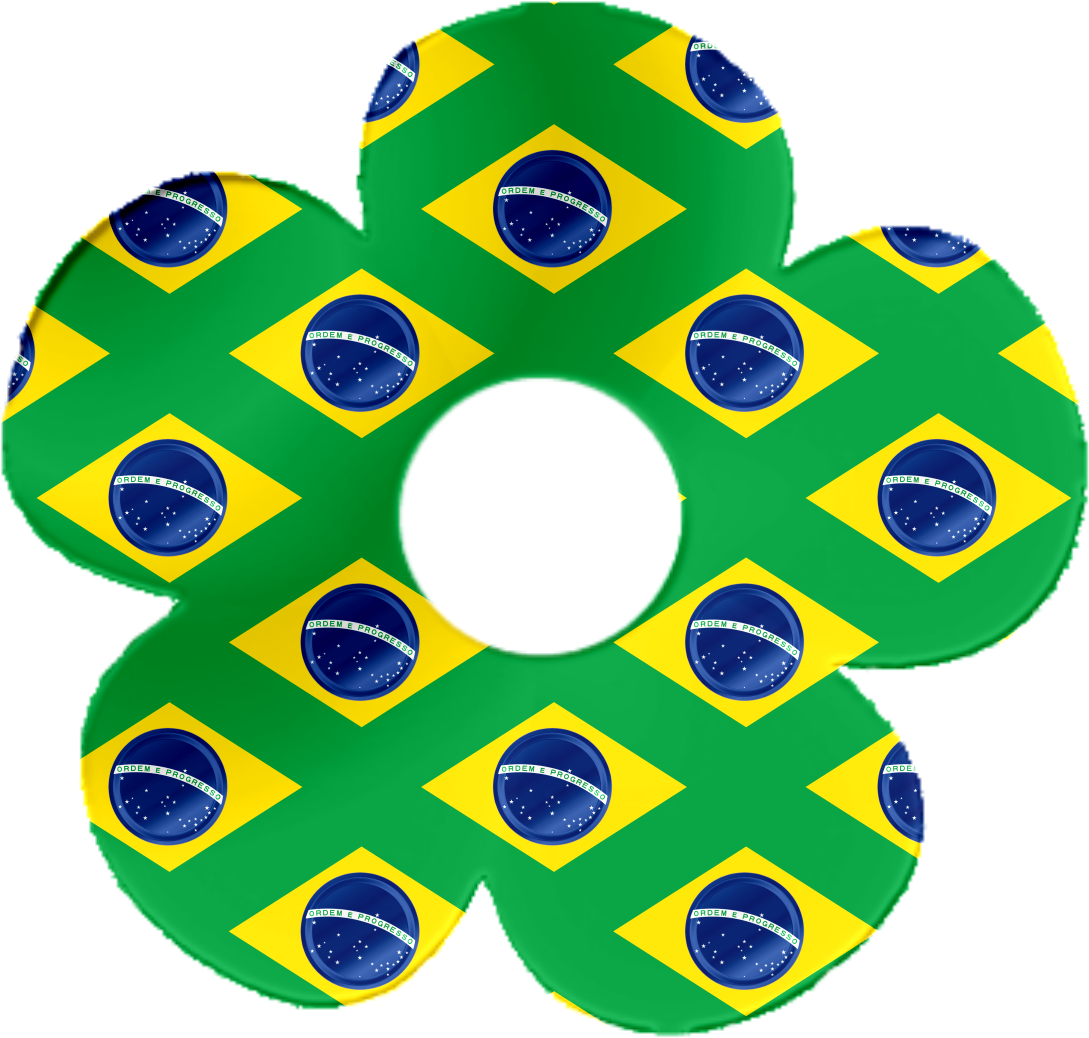Bandeira Do Brasil Png - Free Transparent PNG Download - PNGkey