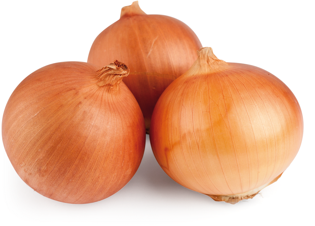 Grano De Oro Onion (1200x823), Png Download