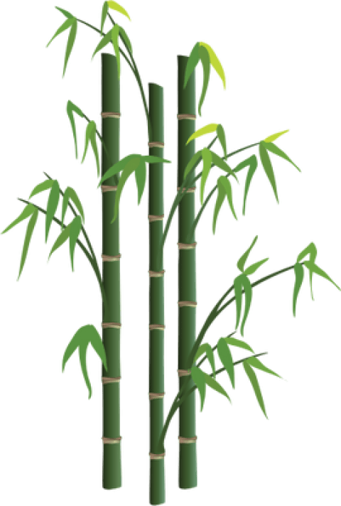 Free Png Bamboo Png Images Transparent - Bamboo Png - Free Transparent ...